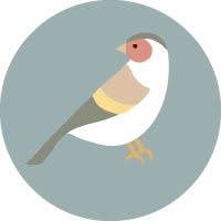 Tengelice Webdesign