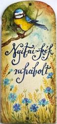 Nyitnikék Ruhabolt