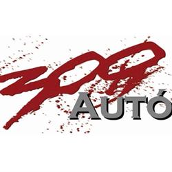 300 Autó