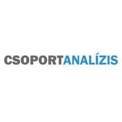 Csoportanalízis