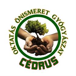 Cédrus Centrum