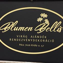 Blumen Bellis