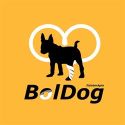 BolDog kutya fizioterápia Győr