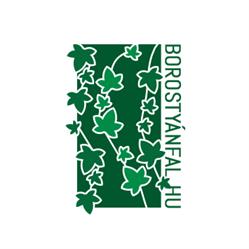 Borostyánfal
