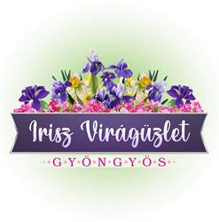 Írisz Virágüzlet - Gyöngyös