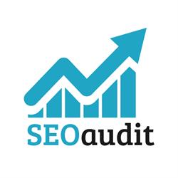SEOaudit