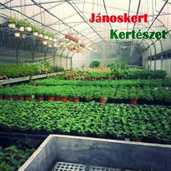Jánoskert Kertészet