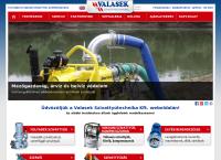 Valasek Szivattyútechnika Kft. honlapja