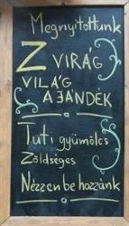 Z-Virág-Világ