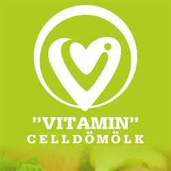Vitamin Zöldség-Gyümölcs