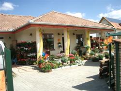 Virágvarieté Virágüzlet Biatorbágy