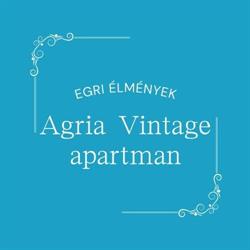 Agria Vintage Apartman Eger