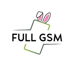 Full-GSM