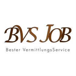 BVS Job Kft
