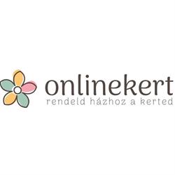 Onlinekert
