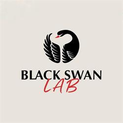 Black Swan Budapest