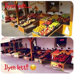 Vitamin Porta Nagyatád