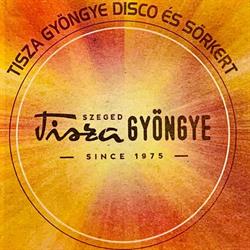 Tisza Gyöngye Park Disco