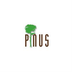 Pinus Fakereskedés