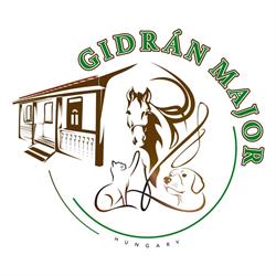 Gidrán Major
