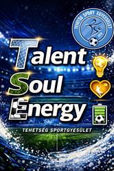 Tehetség Sportegyesület