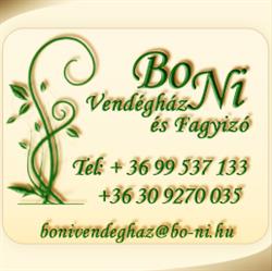 Bo Ni Fagyizó