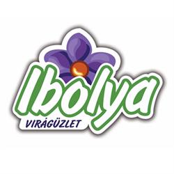 Ibolya Virág Miskolc