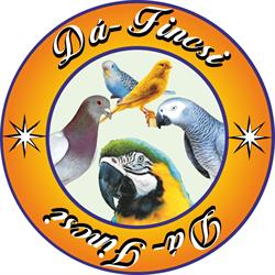 Da-fincsi Kft