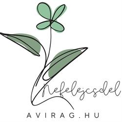 Nefelejcsdel Virágüzlet (bejárat a Gizella utcából)