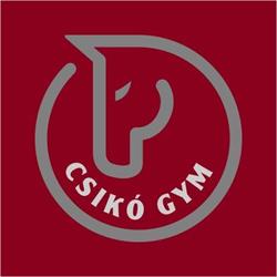 Csikó Gym