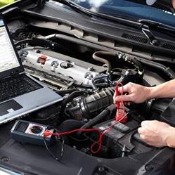 Gran Service Plus