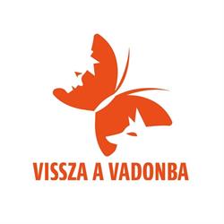 Vissza A Vadonba