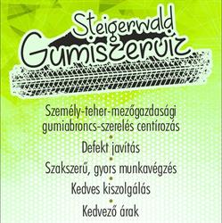 Steigerwald gumiszervíz