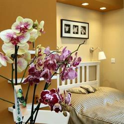 Orchidea Apartman