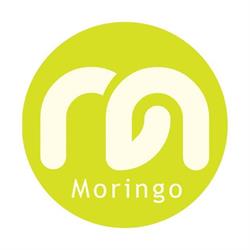 Moringo - Digitális Ügynökség