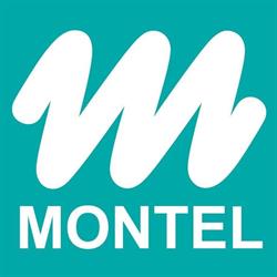 MONTEL Informatika Kft.