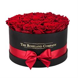 The Roseland Company