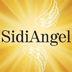 Sidi Angel Lakópark