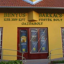 Benyus-Ker 2009 KFT