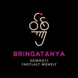 Bringatanya, Somogyi fagylalt műhely