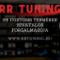 RR-Tuning