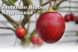 Tamarillo Biobolt