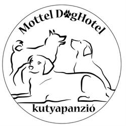 Mottel DogHotel kutyapanzió
