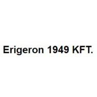 Erigeron 1949 Kft.
