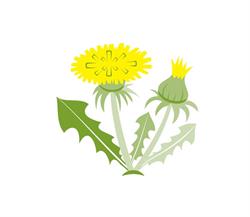 Botanicon Kert Klub és Túra Klub