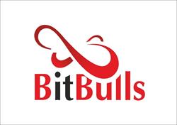 Bit Bulls