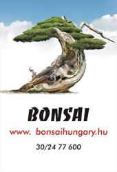 Bonsai Hungary