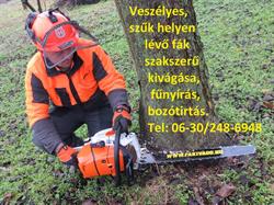Barati Richárd Fakivagó.hu