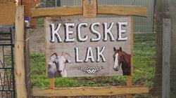 Kecskelak