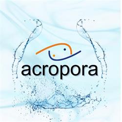 Acropora Tengeri Akvarisztikai Szaküzlet